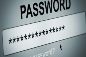 Password Box in Internet Browser