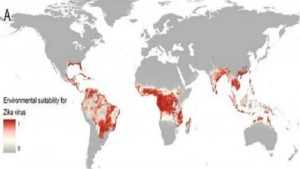 160421100713_zika_virus_640x360_oxforduniversity_nocredit