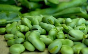 15 فائدة للفول الأخضر.. أهمها رقم 9
