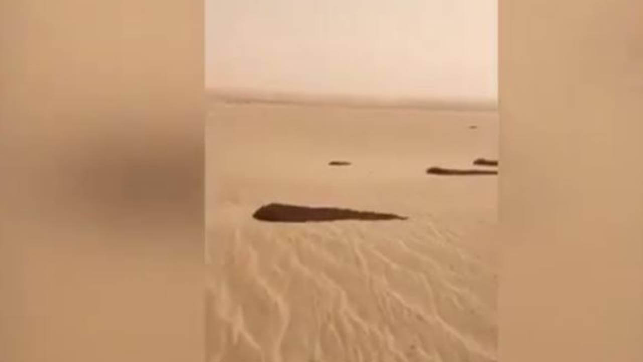 بالفيديو.. تقرير رسمي يحذر من كارثة طبيعية تهدد 3 دول عربية