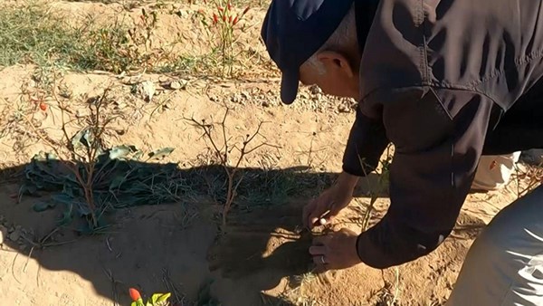 أحد أكبر أنهار المغرب عاجز عن بلوغ مصبه بسبب الجفاف